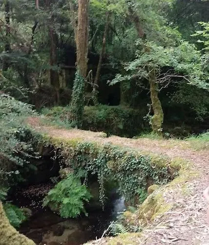 Acogedora Con Piscina בית נופש