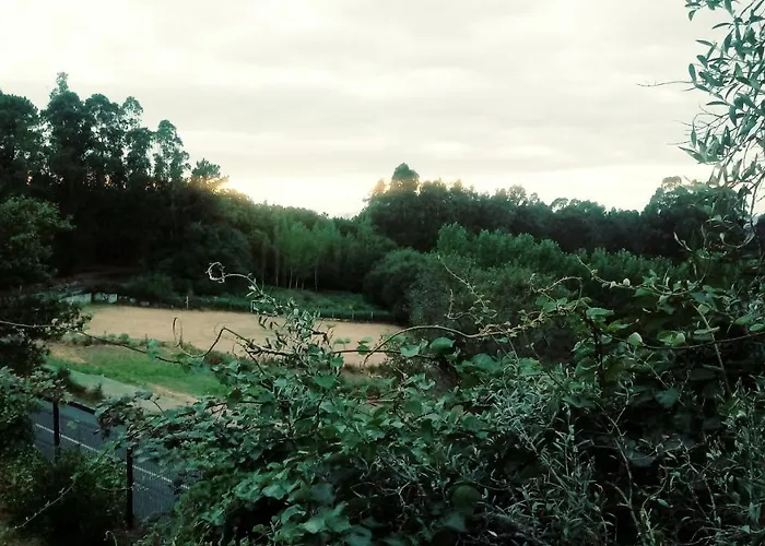 בית נופש Acogedora Con Piscina פונטה-ודרה